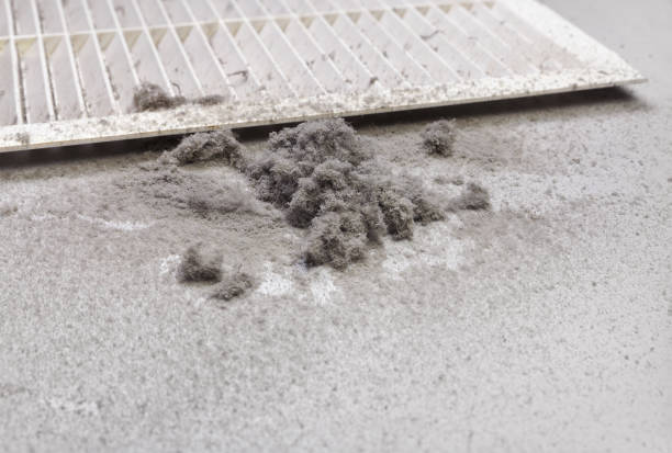 Best Professional Duct Cleaning Services  in Parma Heights, OH