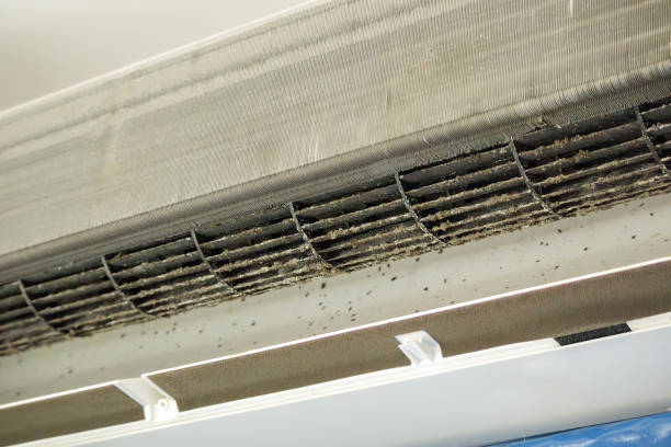 Best Emergency Air Duct Cleaning  in Parma Heights, OH